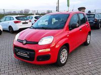 Gebraucht Fiat Panda Easy 69 PS (50 kW) 2019 Rot Kleinwagen