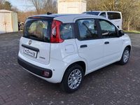 Neu Fiat Panda 69 PS (50 kW) 2026 Schwarz Kleinwagen
