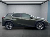 Gebraucht Lexus UX 184 PS (135 kW) 2023 Grün SUV