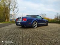 Gebraucht Ford Mustang 430 PS (316 kW) 2008 Blau Cabrio