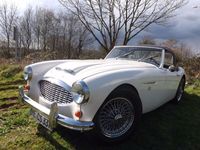Gebraucht Austin Healey 3000 MK I 124 PS (91 kW) 1960 Cabrio