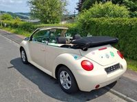 Gebraucht VW New Beetle Cabriolet 75 PS (55 kW) 2003 Beige Cabrio