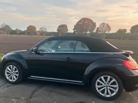 Gebraucht VW Beetle 105 PS (77 kW) 2013 Schwarz Kleinwagen