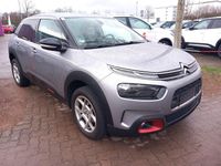 Gebraucht Citroën C4 Cactus PureTech 110 PS (80 kW) 2021 Grau metallic Kleinwagen