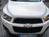 Gebraucht Chevrolet Captiva LT 163 PS (119 kW) 2012 Weiß SUV