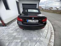 Gebraucht BMW 218 Advantage 150 PS (110 kW) 2016 Braun Cabrio