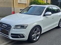 Gebraucht Audi SQ5 313 PS (230 kW) 2015 Weiß SUV