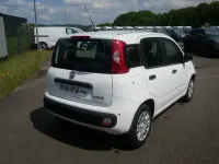 Neu Fiat Panda Pop 65 PS (47 kW) 2026 Weiß Kleinwagen