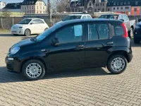 Neu Fiat Panda Icon 69 PS (50 kW) 2026 Kleinwagen