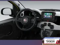 Neu Fiat Panda Cross Cross 65 PS (47 kW) 2026 Gelato weiß Kleinwagen