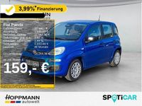 Gebraucht Fiat Panda 65 PS (47 kW) 2025 Blau Kleinwagen