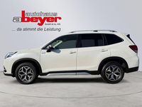 Gebraucht Subaru Forester Active 150 PS (110 kW) 2023 Weiß SUV