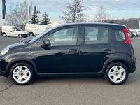 Gebraucht Fiat Panda 70 PS (51 kW) 2024 Schwarz Kleinwagen
