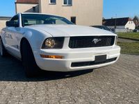 Gebraucht Ford Mustang 212 PS (155 kW) 2005 Weiß Coupé