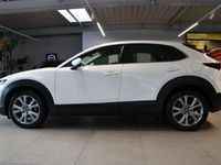 Gebraucht Mazda CX-30 Selection 122 PS (89 kW) 2022 Weiß SUV