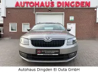 Gebraucht Skoda Octavia Elegance 140 PS (102 kW) 2014 Beige Kombi