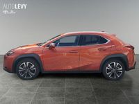 Gebraucht Lexus UX 250h Sport Line 184 PS (135 kW) 2024 Rot SUV