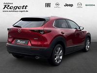 Gebraucht Mazda CX-30 Selection 122 PS (89 kW) 2020 Rot SUV