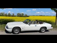 Gebraucht Jaguar XJS 222 PS (163 kW) 1994 Weiß Cabrio