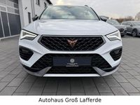 Gebraucht Cupra Ateca 150 PS (110 kW) 2024 Weiß SUV