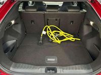 Gebraucht Ford Capri Premium 210 kW (286 PS) 2024 Lucidrot metallic SUV