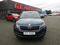 Gebraucht Skoda Kodiaq Active 150 PS (110 kW) 2019 Blau SUV