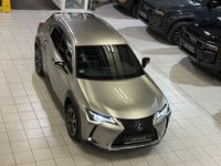 Gebraucht Lexus UX 250h 152 PS (111 kW) 2022 Silber SUV