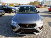 Gebraucht Cupra Ateca 150 PS (110 kW) 2026 Grau SUV