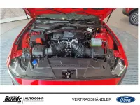 Neu Ford Mustang Dark Horse 454 PS (333 kW) 2025 Race red Coupé