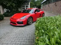Gebraucht Porsche Cayman GT4 385 PS (283 kW) 2016 Rot Coupé