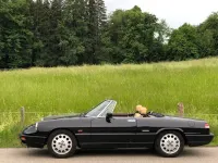Gebraucht Alfa Romeo Spider 120 PS (88 kW) 1990 Schwarz Cabrio