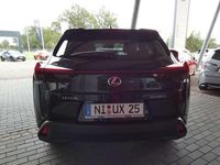 Gebraucht Lexus UX 250h 184 PS (135 kW) 2022 Not provided SUV