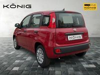 Neu Fiat Panda 69 PS (50 kW) 2025 Rot Limousine