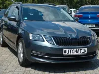 Gebraucht Skoda Octavia Style 116 PS (85 kW) 2019 Grau Kombi