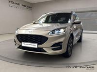 Gebraucht Ford Kuga ST-Line X 150 PS (110 kW) 2021 Polarsilber (metallic) SUV
