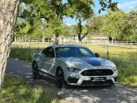 Occasion Ford Mustang Fastback 460 ch (338 kW) 2023 Gris
