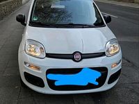 Gebraucht Fiat Panda Easy 69 PS (50 kW) 2018 Weiß Kleinwagen