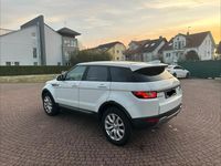 Gebraucht Land Rover Range Rover evoque 150 PS (110 kW) 2017 Weiß SUV