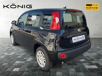Neu Fiat Panda 69 PS (50 kW) 2025 Schwarz Kleinwagen