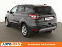 Gebraucht Ford Kuga Trend 120 PS (88 kW) 2019 Grau SUV