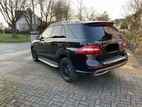 gebraucht Mercedes ML250 