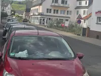 Gebraucht Ford Fiesta 82 PS (60 kW) 2009 Rot Kleinwagen