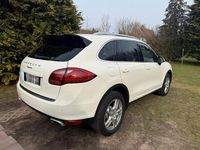 Gebraucht Porsche Cayenne 245 PS (180 kW) 2011 Weiß SUV