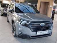 Neu Subaru Forester Active 136 PS (100 kW) 2026 Grau SUV