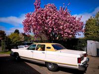Gebraucht Lincoln Continental 1976 Weiß Limousine
