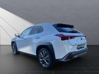 Gebraucht Lexus UX 250h Sport Line 184 PS (135 kW) 2023 Weiß SUV