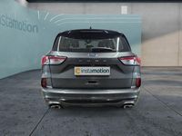 Gebraucht Ford Kuga ST-Line 150 PS (110 kW) 2024 Grau SUV