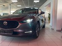 Gebraucht Mazda CX-30 Selection 179 PS (131 kW) 2021 Grau SUV