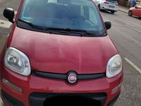 gebraucht Fiat Panda !TÜV Neu! Ohne Klima