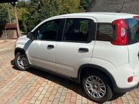 Gebraucht Fiat Panda 69 PS (50 kW) 2024 Weiß Kleinwagen